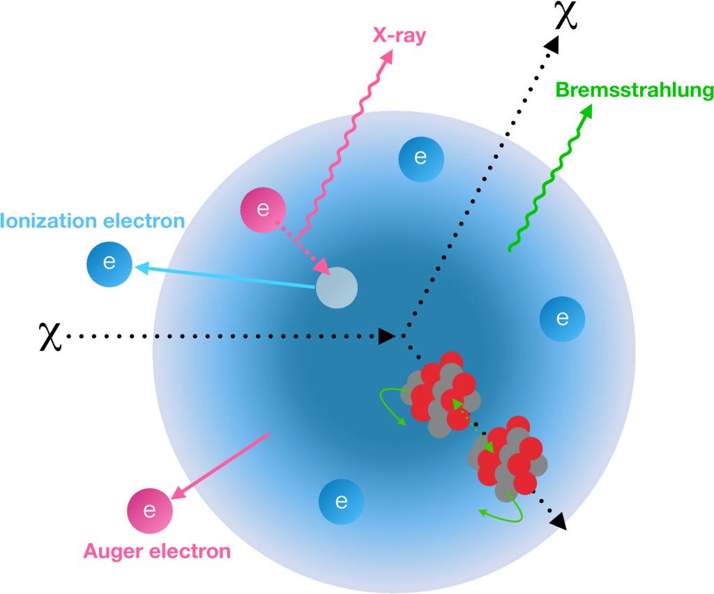 A Search for Light Dark Matter Interactions Enhanced by the Migdal